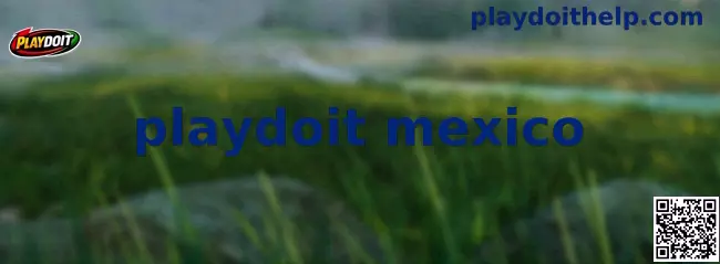 Guía informativa sobre Playdoit México